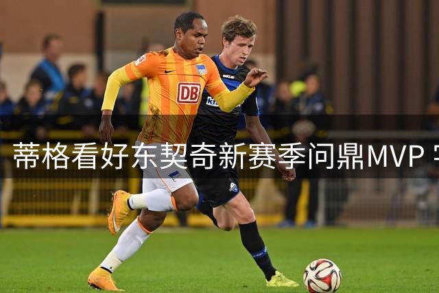 蒂格看好东契奇新赛季问鼎MVP 字母哥状态被看好
